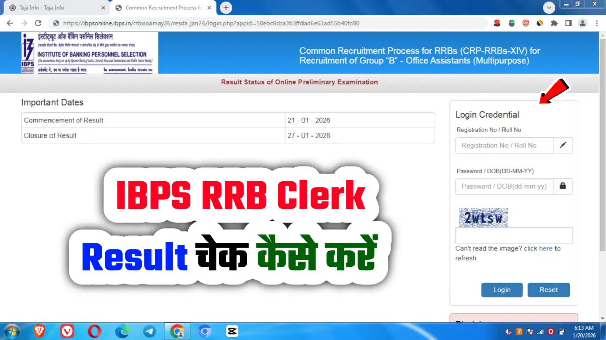 IBPS RRB Clerk Pre Result 2026 आईबीपीएस आरआरबी क्लर्क प्रारंभिक परीक्षा परिणाम